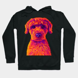 Orange and Purple Mini Poodle Hoodie